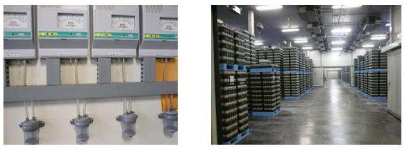 食用菌工廠化優(yōu)勢(shì)